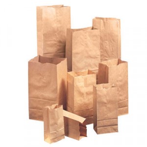 20# Paper Bag, 57-lb Base Weight, Brown Kraft, 8-1/4x5-5/16x16-1/8, 500-Bundle