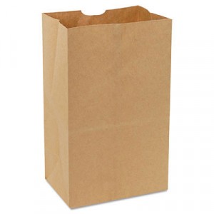 20# Paper Bag, 8-1/4x15-7/8, 57-Pound Base Weight, Brown Kraft, 500-Bundle