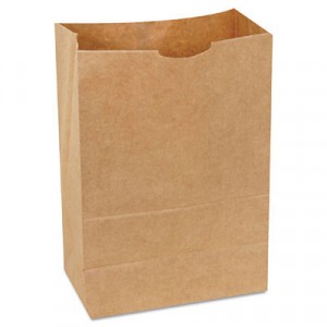 1/6 BBL 65# Paper Bag, Natural Kraft Grocery Sack, Brown, 500-Bundle