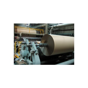 Paper Caseline 36"x200YD (600') 30/30/30 54#/RL 25/PLT