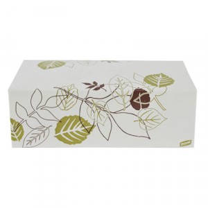 Paper Carryout Cartons, 1 Compartment, White/Green/Burgundy, 5x9x3