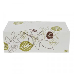 Paper Carryout Cartons, 1 Compartment, White/Green/Burgundy, 5x9x3