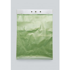 Bag Poly 12x15 2Mil Green-Tinted Gas Sterilization 1000/CS