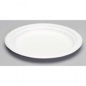 Harvest Fiber Dinnerware, Plate, 8 3/4" Diameter, Natural White