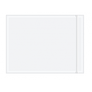 Envelope 9x12 2m Pressure Sensitive Resealable Clear 500/CS