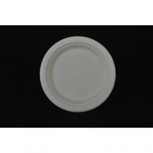 ChampWare Heavyweight Bagasse Dinnerware, Plate, 9", White