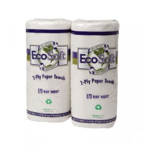 EcoSoft Household Roll Towels, 11x9, White, 100/Roll