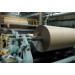 Paper Caseline 36"x200YD (600') 30/30/30 54#/RL 25/PLT